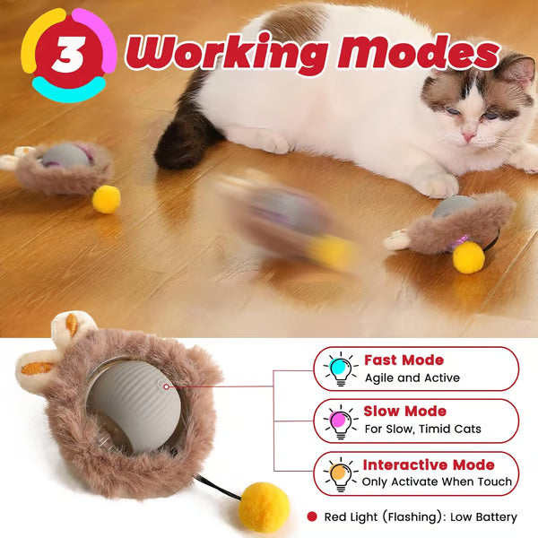 🐾Plush Interactive Electric Rolling Ball – Smart Cat Toy for Indoor and Outdoor Fun 🎉🐱