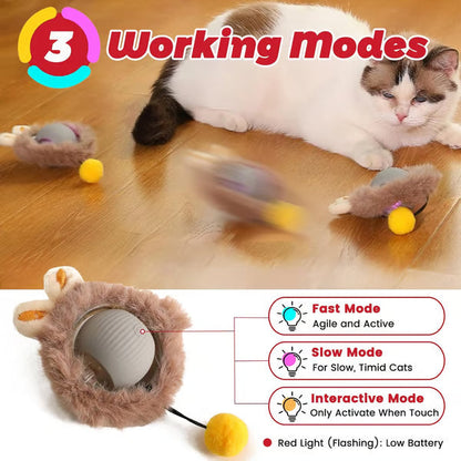 🐾Plush Interactive Electric Rolling Ball – Smart Cat Toy for Indoor and Outdoor Fun 🎉🐱