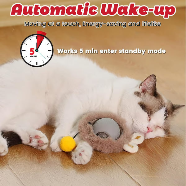 🐾Plush Interactive Electric Rolling Ball – Smart Cat Toy for Indoor and Outdoor Fun 🎉🐱